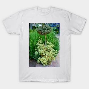 Sherman Gardens Study 10 T-Shirt
